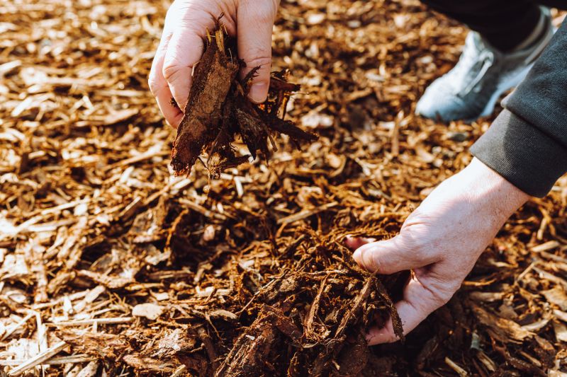 Black Mulch Installation in Honolulu, HI