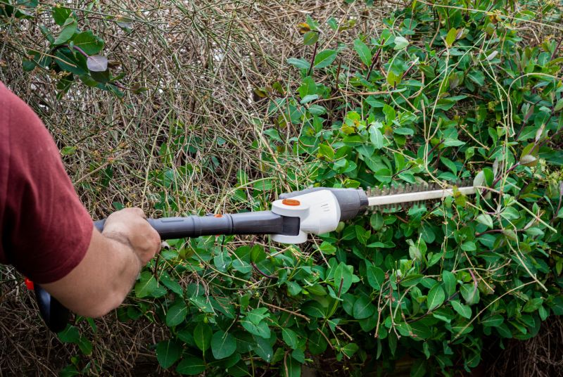 Bush Replacement in Honolulu, HI