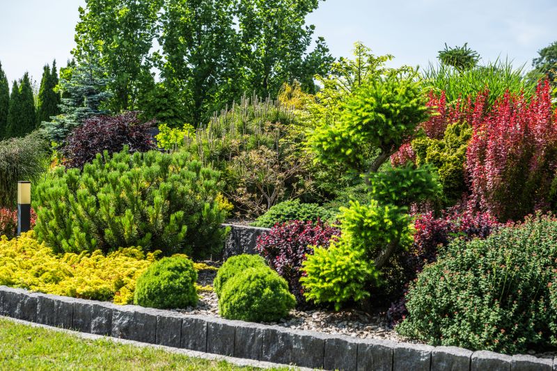 Dryscape Landscaping in Honolulu, HI