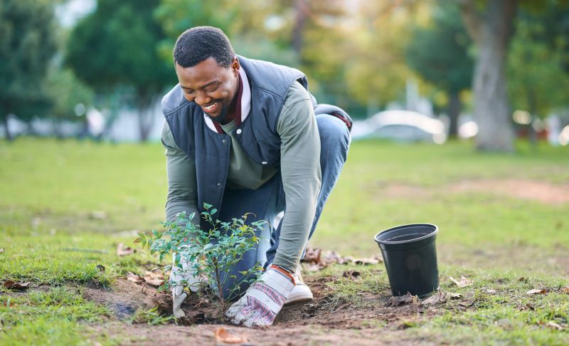 Garden Planting Service in Honolulu, HI