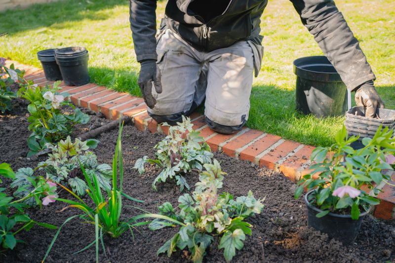 Hedge Planting in Honolulu, HI