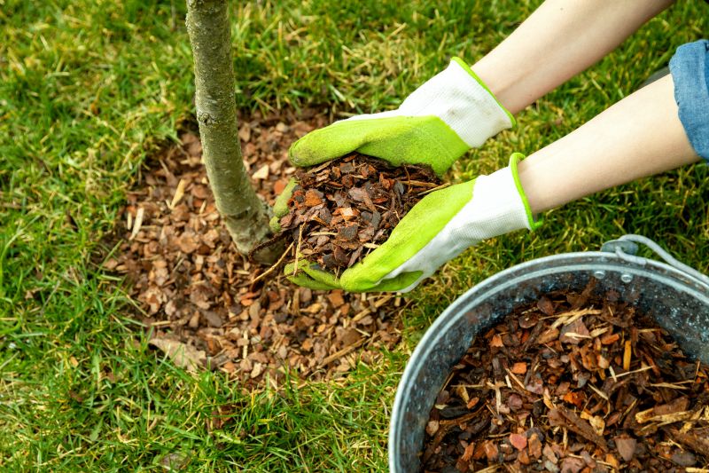 Pine Bark Mulch Installation in Honolulu, HI