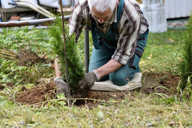 Shrub Planting Service in Honolulu, HI