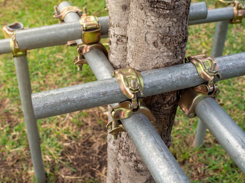 Tree Cabling Service in Reno, NV