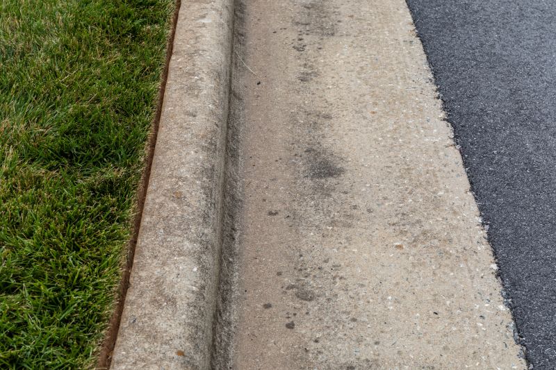 Tree Curbing Installation in Citrus County, FL