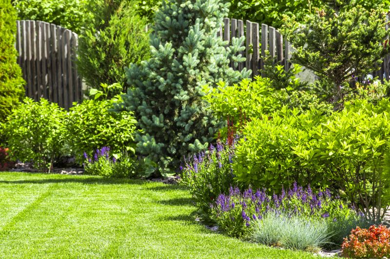 Custom Landscaping in Honolulu, HI